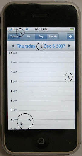 AntsIniPhone2