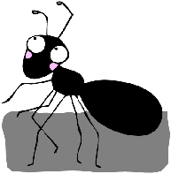 ant