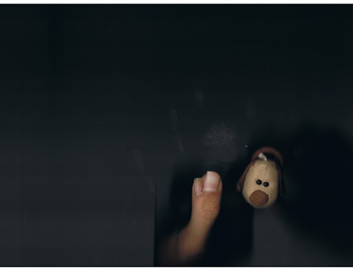 Photograph (3)